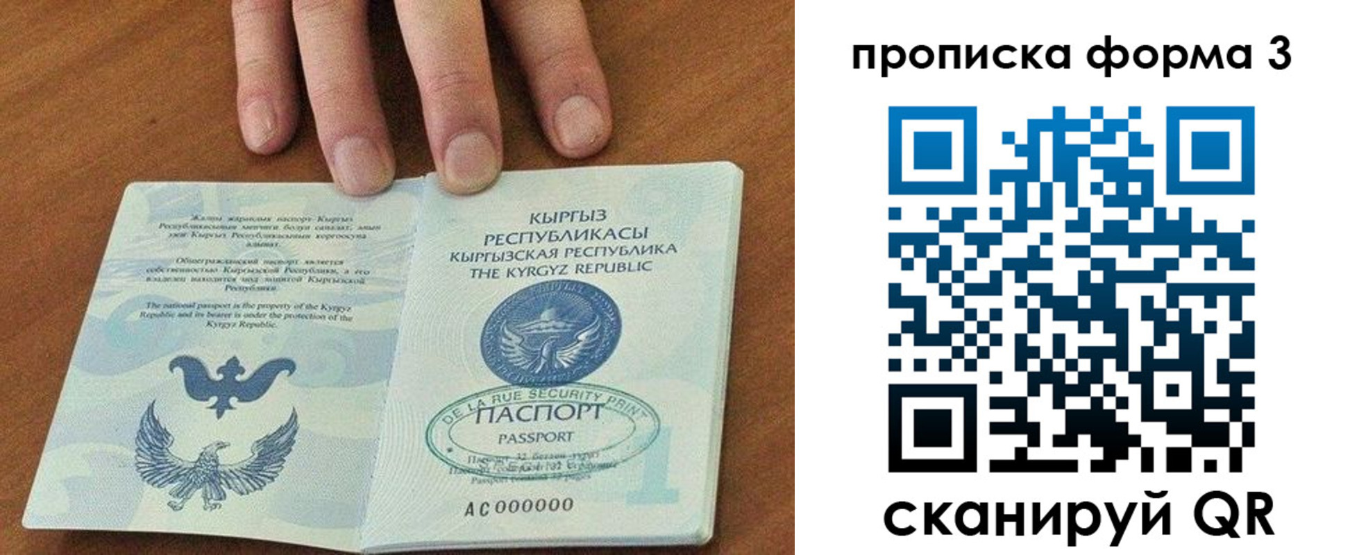 прописка 2025 в Талдоме
